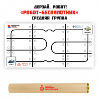 Изображение Лит_238_ Поле для соревнований «Дерзай, робот! Беспилотник» (средняя группа)