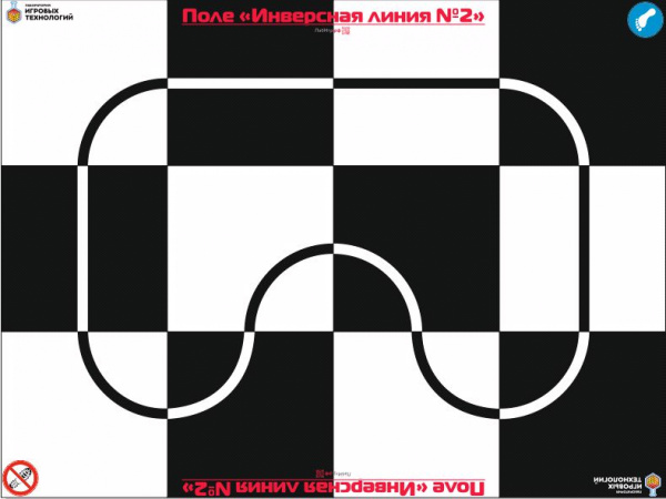 Детальное изображение Поле "Инверсная линия №2" 3200 х2400 мм