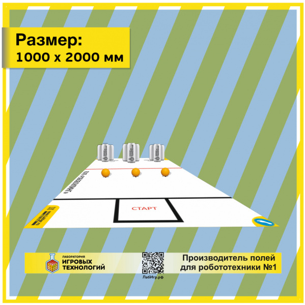 Детальное изображение Поле для соревнований РобоБоулинг 